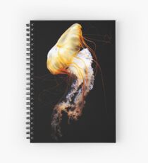 Enigma Spiral Notebook