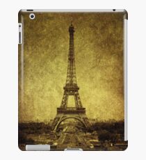Dignified Stature iPad Case/Skin