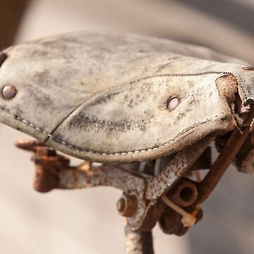 Artwork thumbnail, Bicycle saddle by Göran Andersson