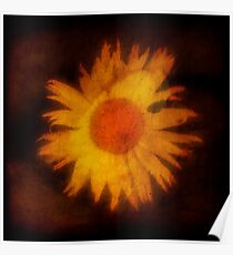 Embryo Poster