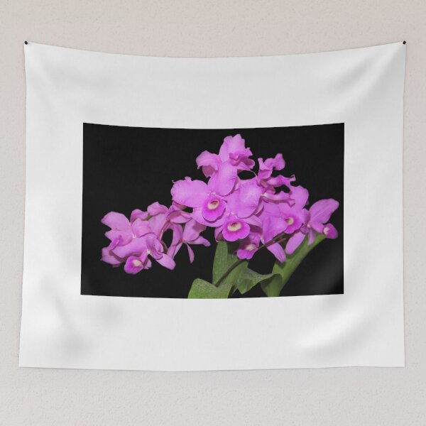 Item preview, Beautiful Cattleya Orchid designed and sold by vette.
