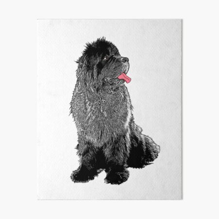 Grunge Newfie Art Board Print