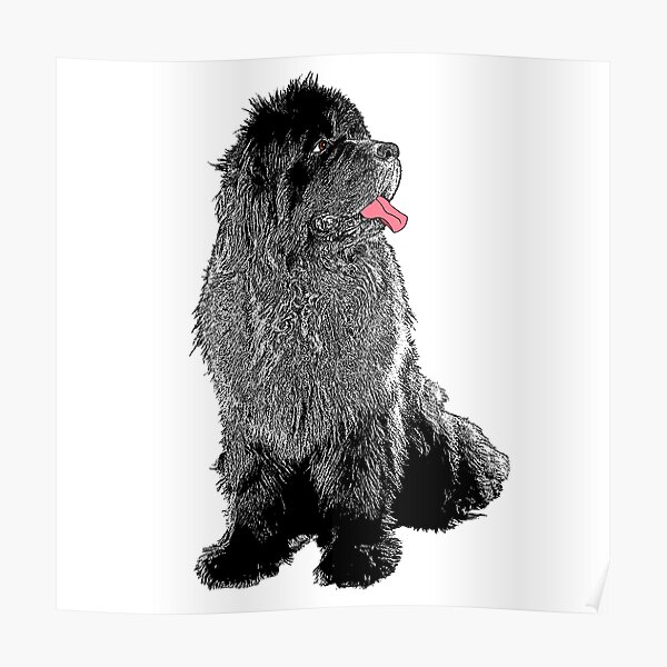 Grunge Newfie Poster