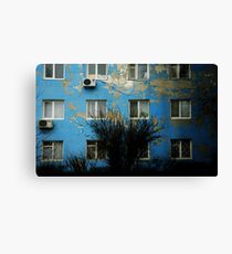 a geography class Canvas Print