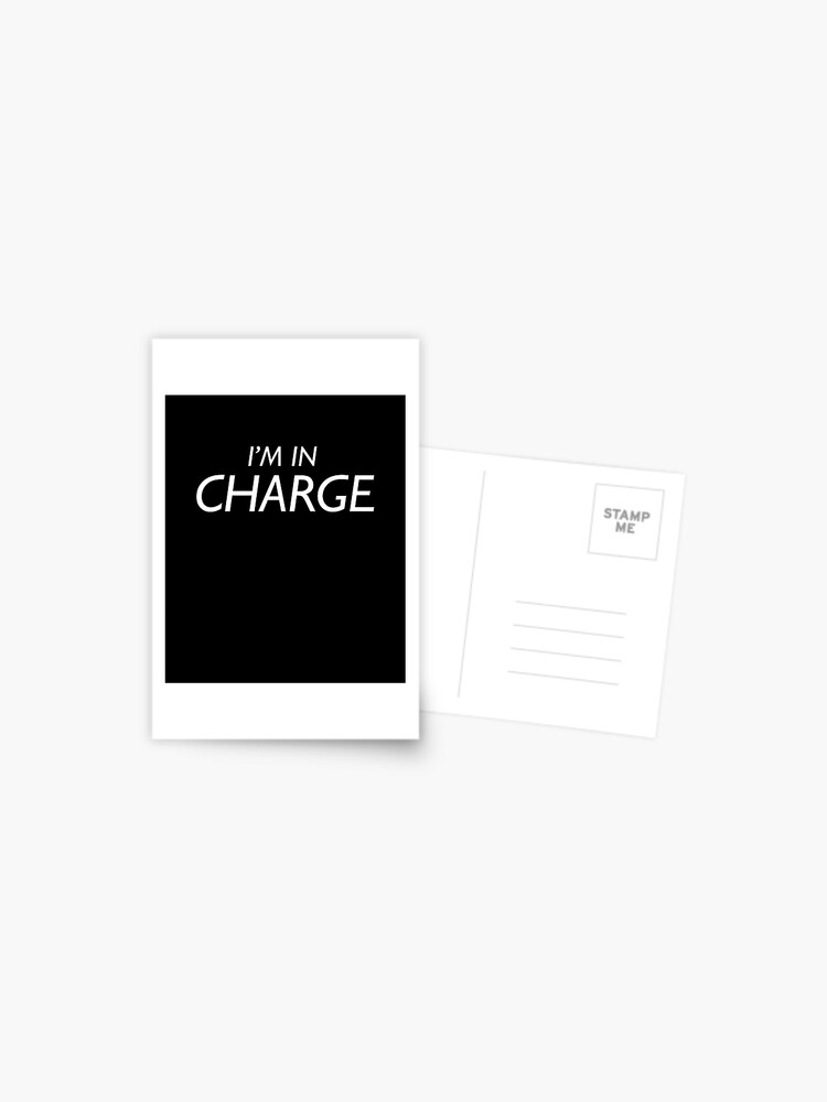 Funny I'm In Charge Bossy Arrogant Boss T-Shirt Funny I'm In Charge Bossy Arrogant Boss T-Shirt