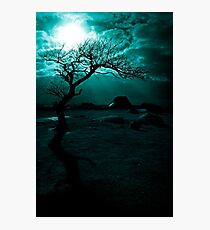 Midnight Sun Photographic Print
