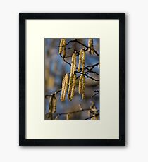 Spring is coming Framed Print