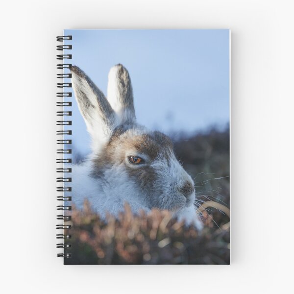 Item preview, hare, rabbit, bunny, white designed and sold by chanonry.
