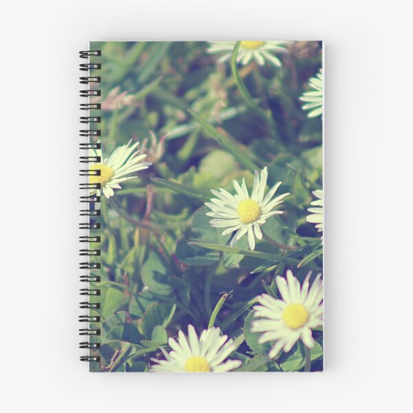 Item preview, Old Daisy designed and sold by N-MPhotography.