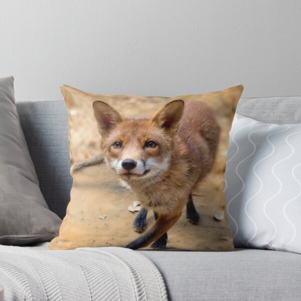 Item preview, Brushy the fox designed and sold by stacky.