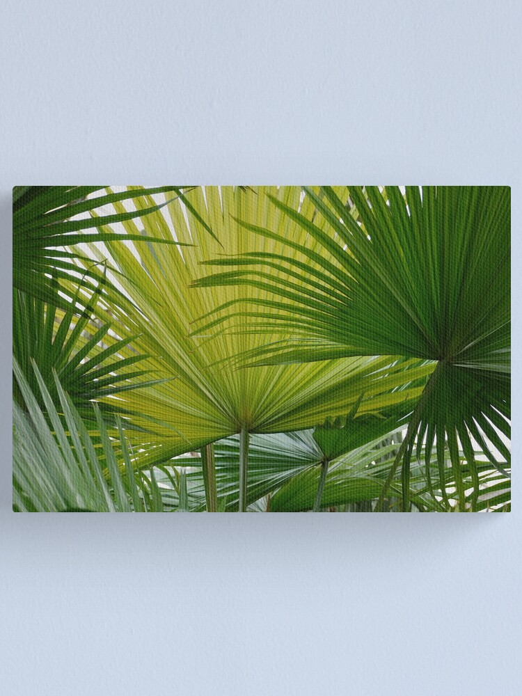 Alternate view of Fans Canvas Print