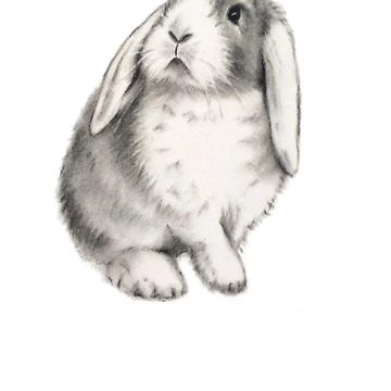 Artwork thumbnail, Lop Rabbit - Cute Rabbit - Rabbit Gift - Gift For Rabbit Lovers - Rabbit Shirt - Rabbit Painting by Galvanized