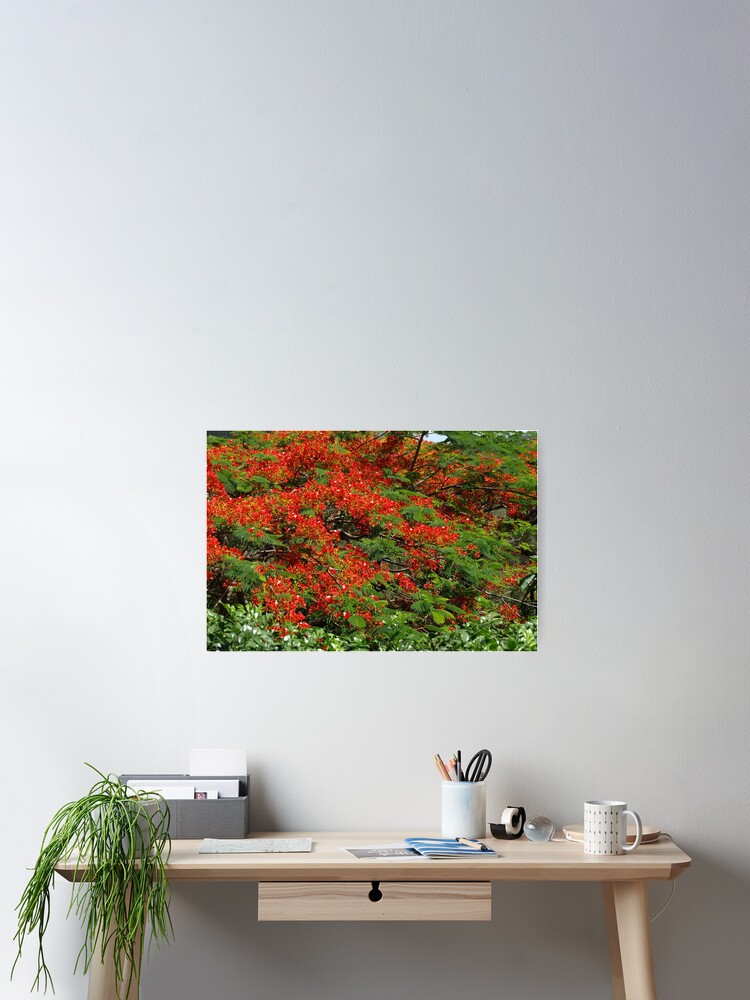 Thumbnail 2 of 3, Poster, RED designed and sold by AussieColin.