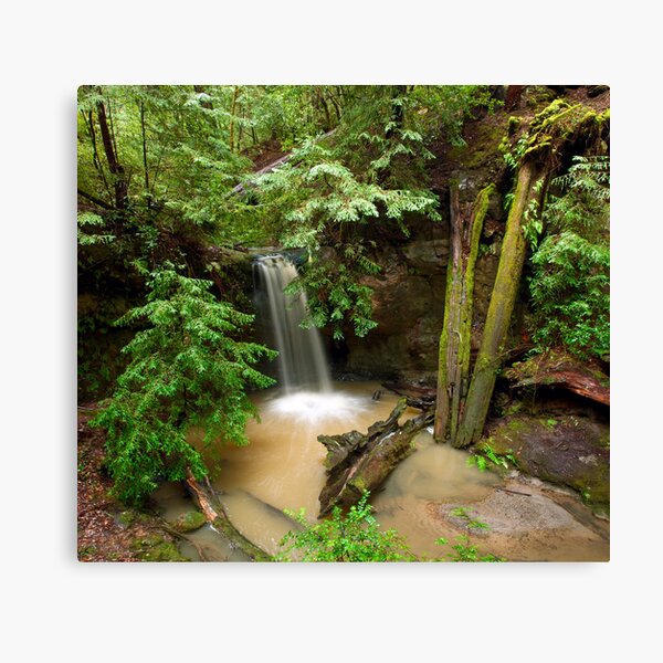 Sempervirens Falls-2 Canvas Print