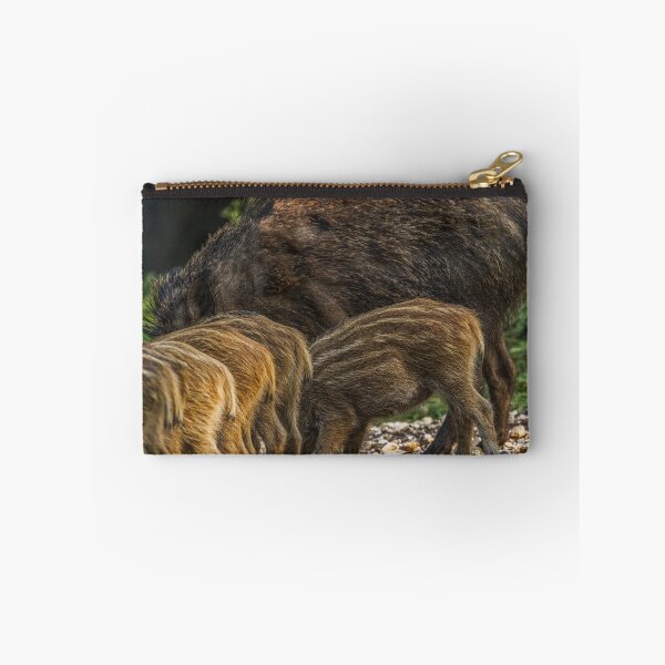 Item preview, Boar designed and sold by BiceksPhoto.