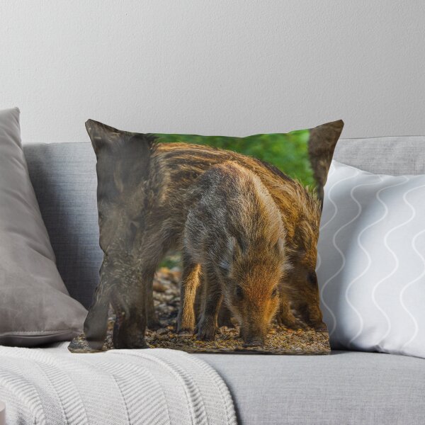 Item preview, Boar designed and sold by BiceksPhoto.
