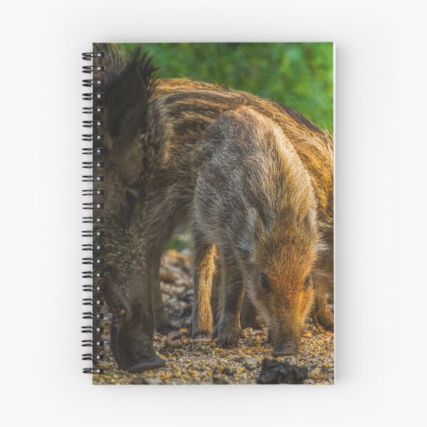 Item preview, Boar designed and sold by BiceksPhoto.