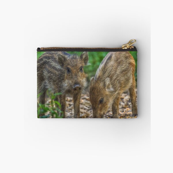 Item preview, Boar designed and sold by BiceksPhoto.