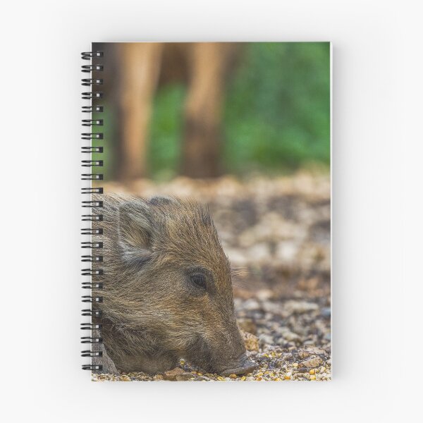 Item preview, Piglets designed and sold by BiceksPhoto.