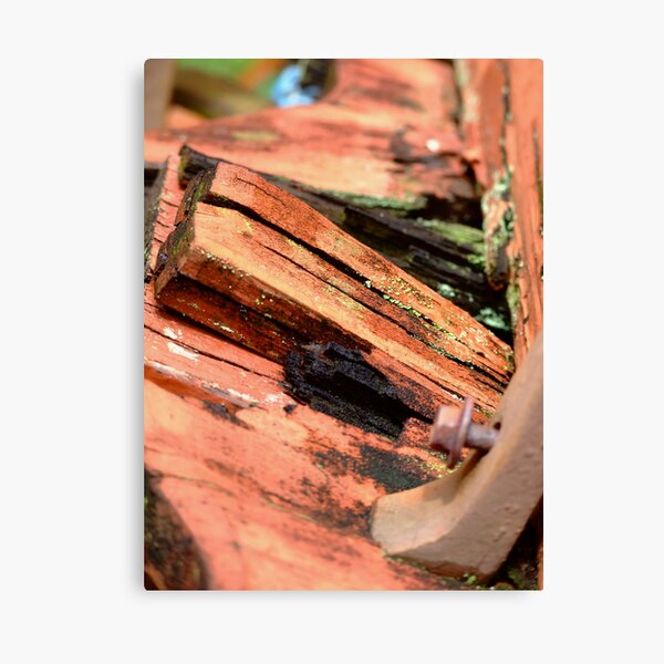 old carriage #4 Canvas Print