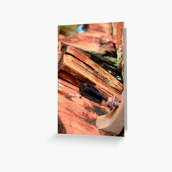 old carriage #4 Greeting Card