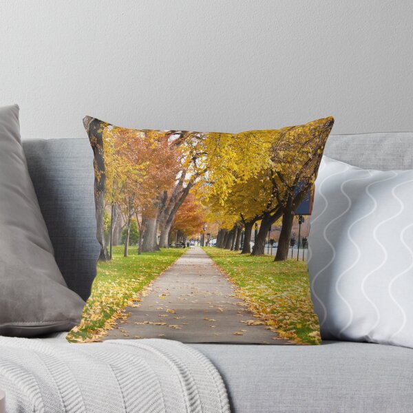 Item preview, Autumn Walk Way designed and sold by Phill Danze.