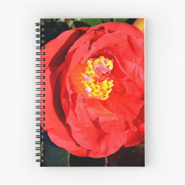 Item preview, RED CAMELIA designed and sold by kazaroodie.