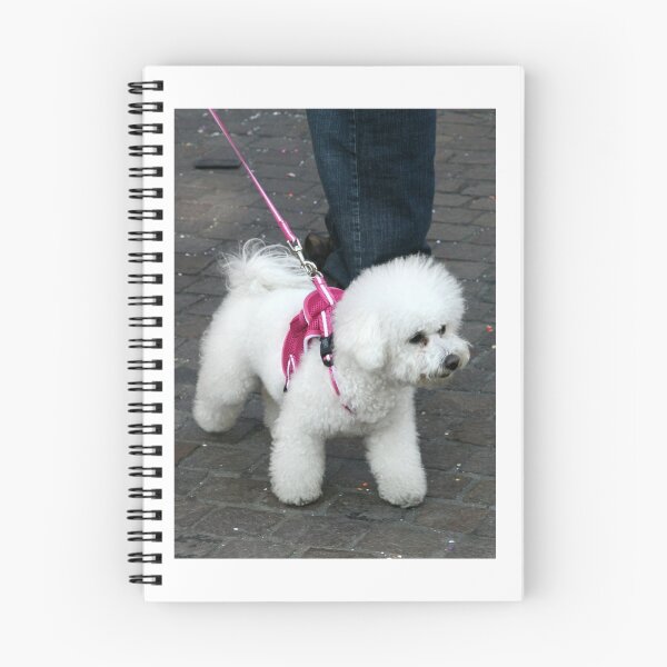 Item preview, White Fluff Dog In Pink designed and sold by coffeebean.