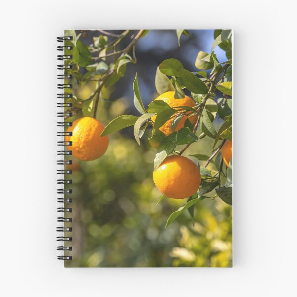 Item preview, Branch of a tree with ripe tangerines close-up on a blurred background designed and sold by EG Creativity Art.