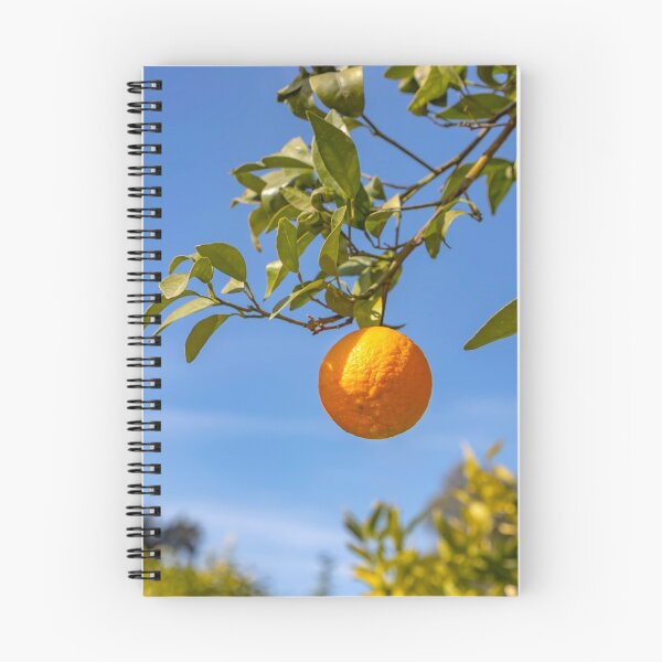 Item preview, A branch with ripe tangerines close-up on a blurred background designed and sold by EG Creativity Art.