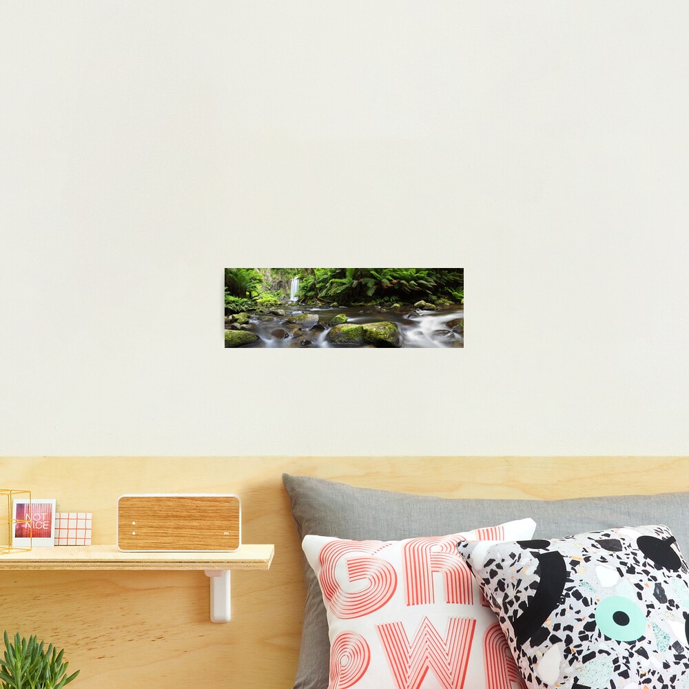 Hopetoun Falls, Otways, Great Ocean Road, Australia Photographic Print