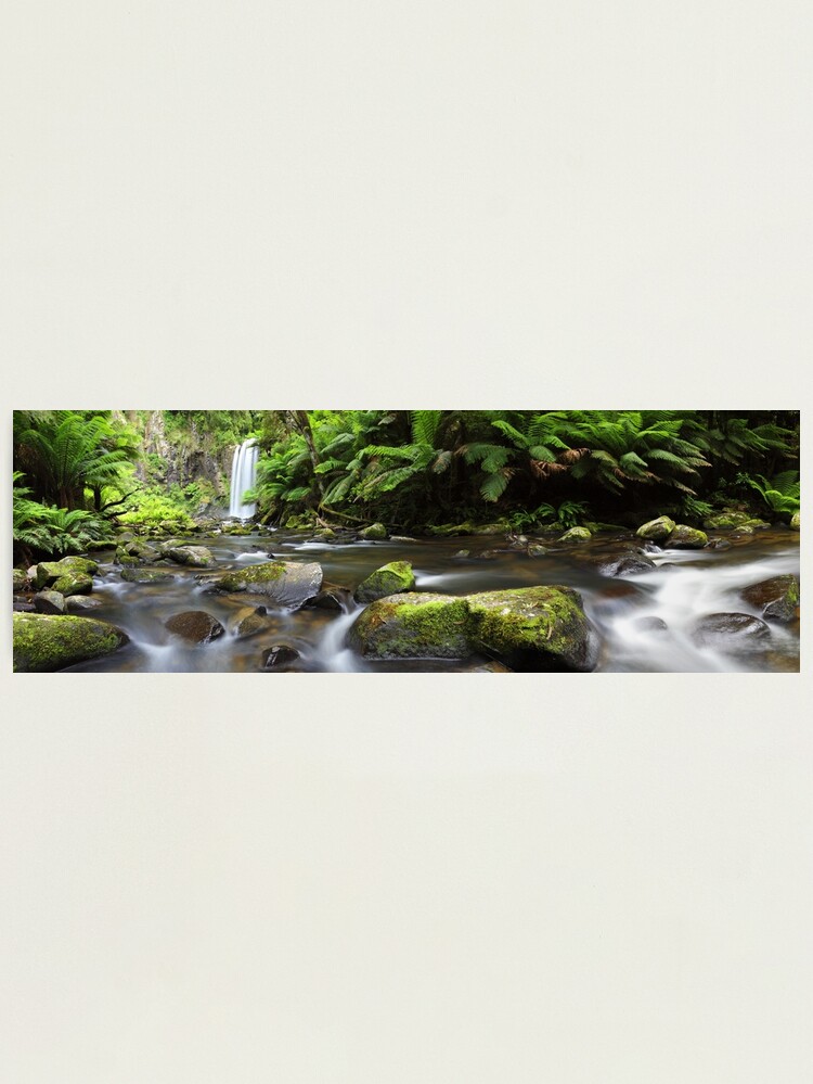 Alternate view of Hopetoun Falls, Otways, Great Ocean Road, Australia Photographic Print