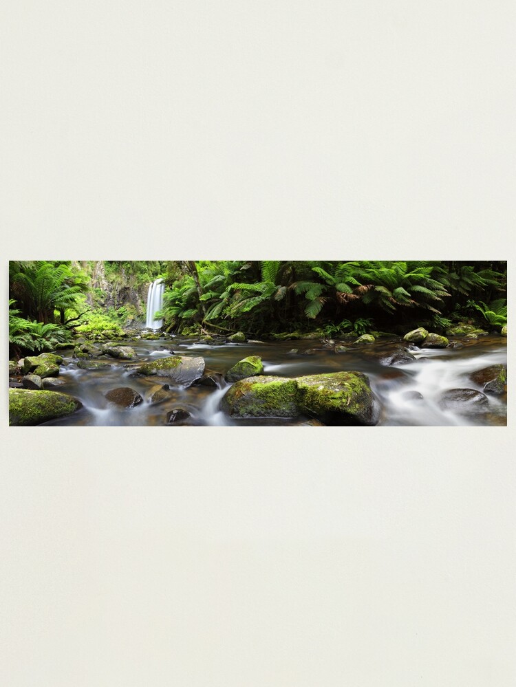 Alternate view of Hopetoun Falls, Otways, Great Ocean Road, Australia Photographic Print