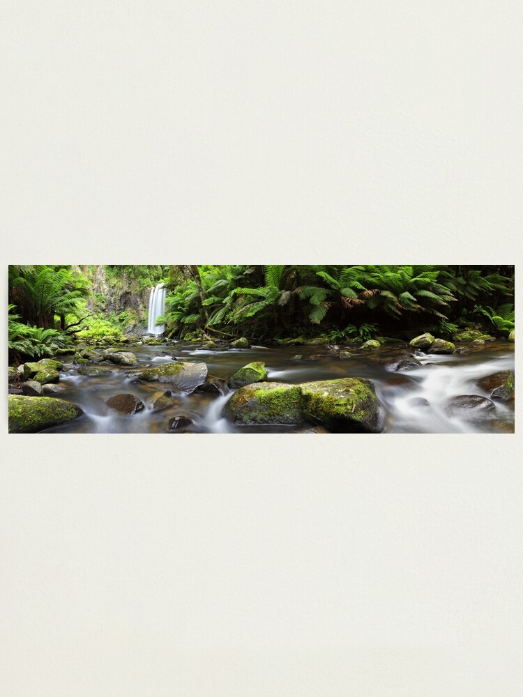 Thumbnail 1 of 3, Photographic Print, Hopetoun Falls, Otways, Great Ocean Road, Australia designed and sold by Chockstone.