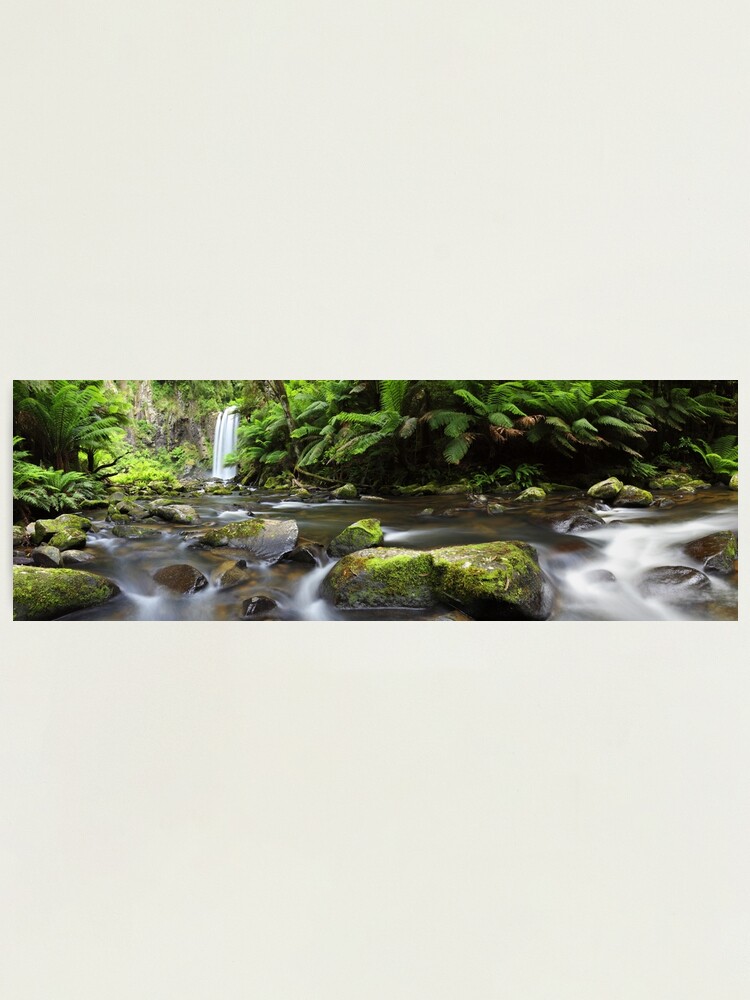 Alternate view of Hopetoun Falls, Otways, Great Ocean Road, Australia Photographic Print