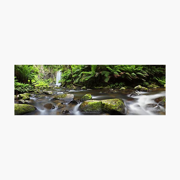 Photographic Print