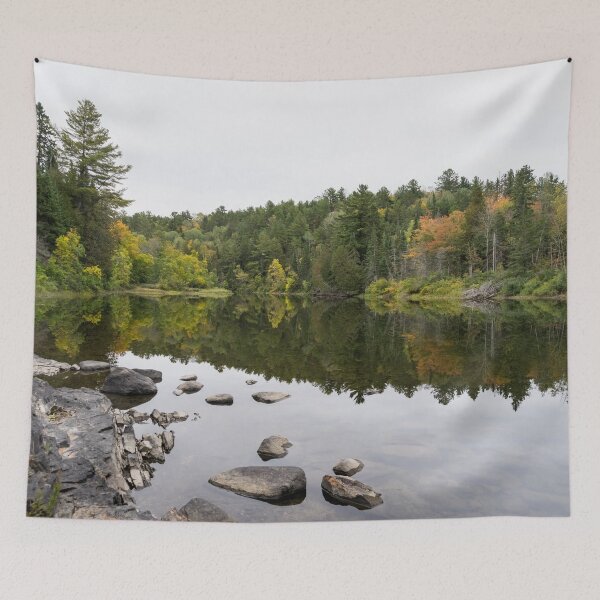 Aperçu de l'œuvre Miroir forêt soyeuse - Serpent River Peacefulness créée et vendue par Georgia Mizuleva.