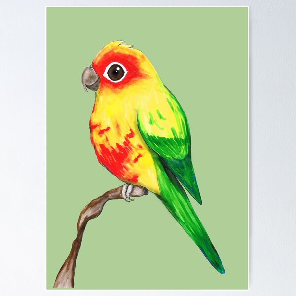 Item preview, Cute sun conure designed and sold by Bwiselizzy.