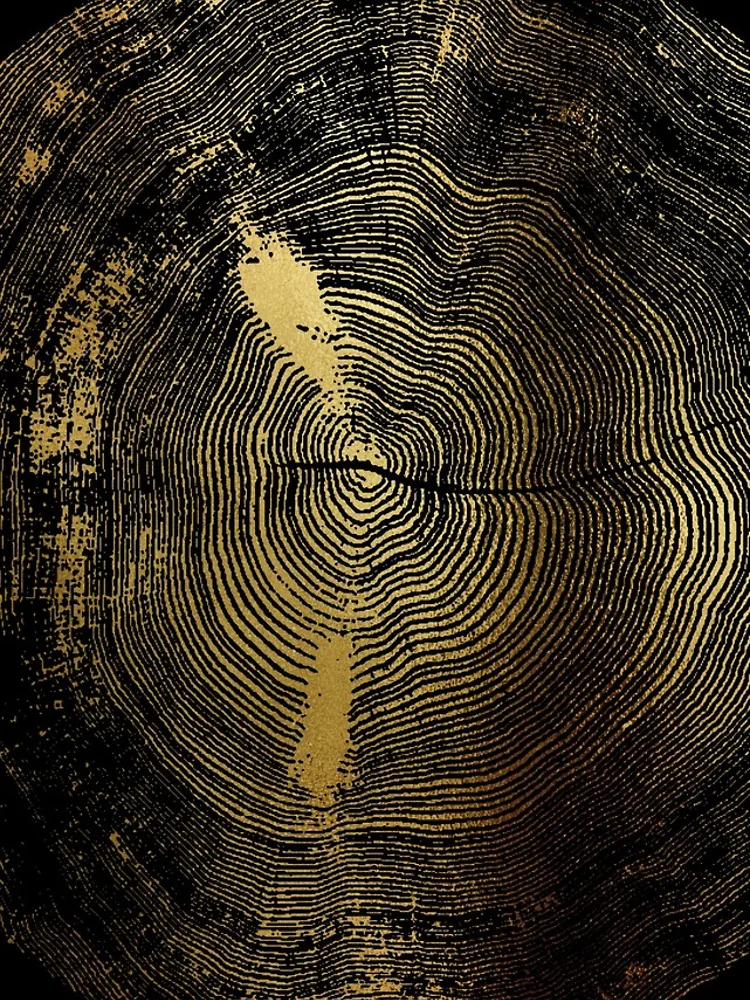 Thumbnail 4 of 4, iPhone Case, Golden Tree Rings designed and sold by AlexVDesign.