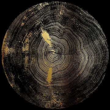 Artwork thumbnail, Golden Tree Rings by AlexVDesign