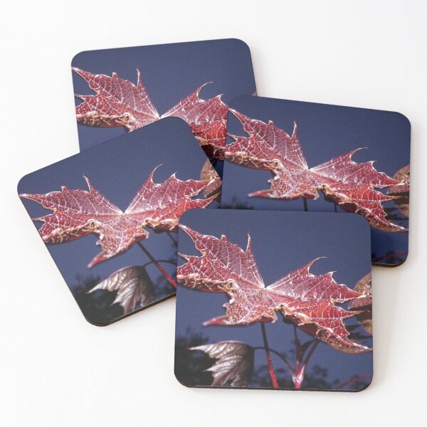 Item preview, JAPANESE MAPLE ACER LEAF FLASH MACRO designed and sold by Richard Brookes Photography.