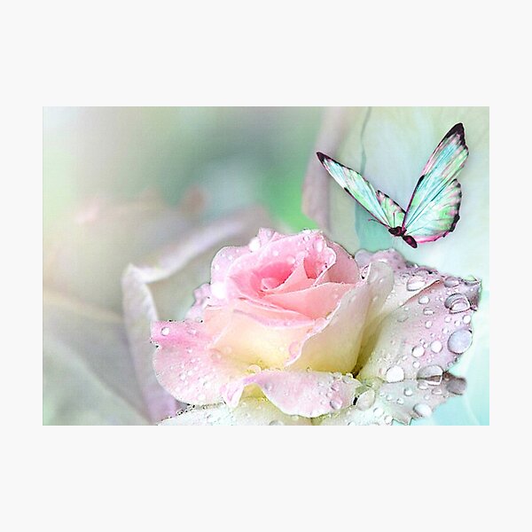 A Tender Moment Photographic Print