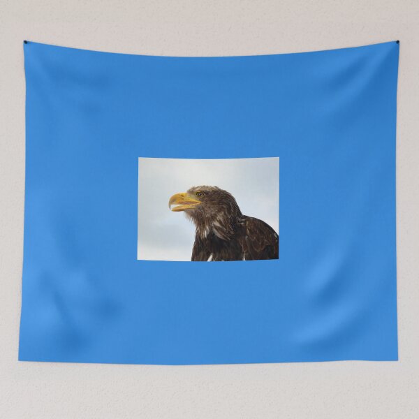 Item preview, Eagle designed and sold by thula.