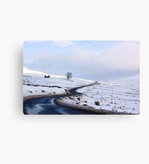 Desolate Living Canvas Print