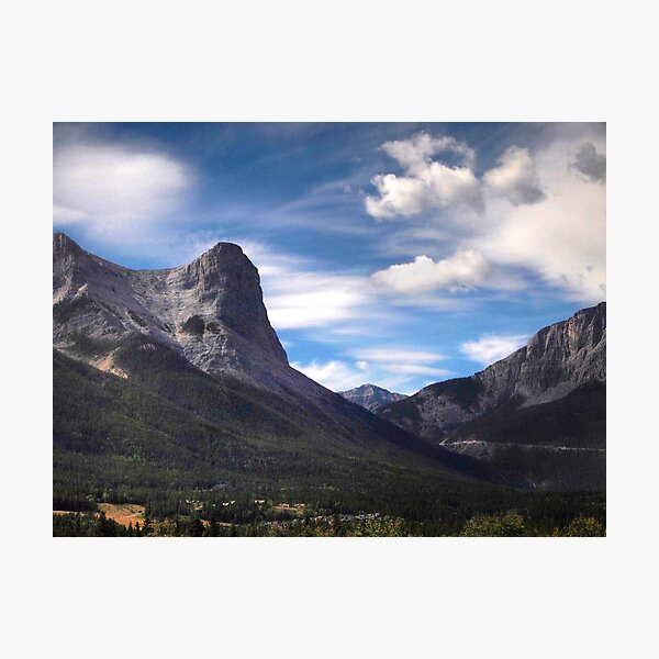 Climb of the Conifers Photographic Print