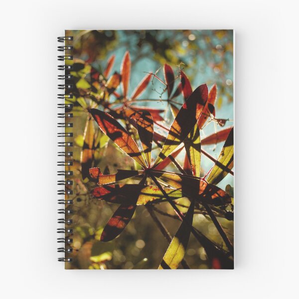 Item preview, 2017 Naturale #08 designed and sold by robertoferrero.