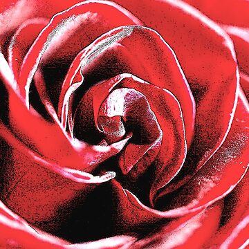 Artwork thumbnail, Rose by Richard-Gary Butler