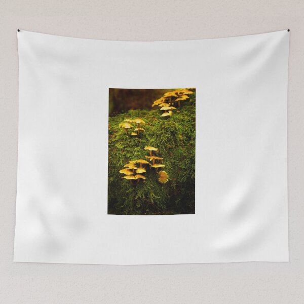 Item preview, Mushrooms in moss V designed and sold by jklune.