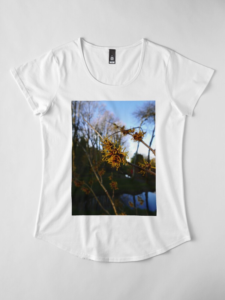 Alternate view of Ozark witchhazel (Hamamelis vernalis) Premium Scoop T-Shirt