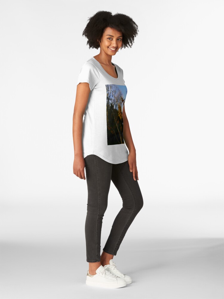 Alternate view of Ozark witchhazel (Hamamelis vernalis) Premium Scoop T-Shirt